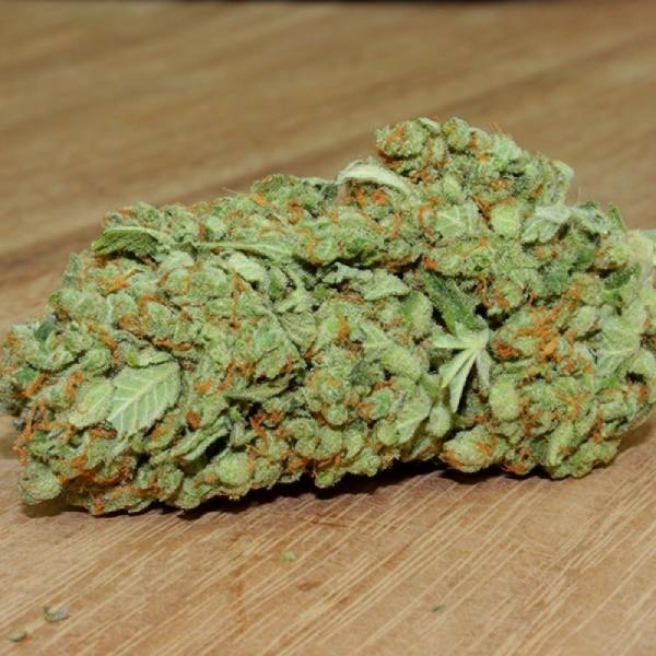 Thunderstruck (Sumo Seeds) feminisiert