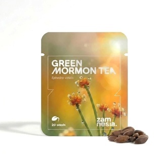 Green Mormon Tea Samen (Ephedra viridis) 20 Samen