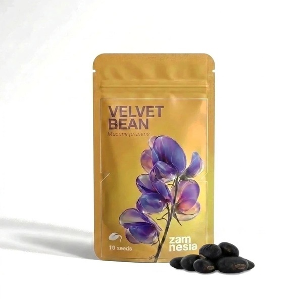 Velvet Bean Samen (Mucuna pruriens)