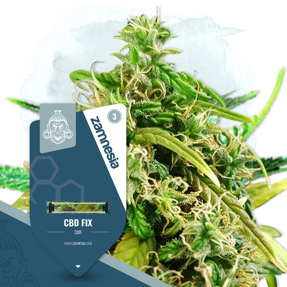 CBD Fix Feminisiert (Zamnesia)