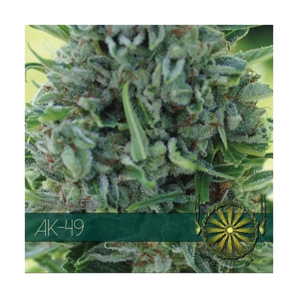 AK-49 (Vision Seeds) feminisiert