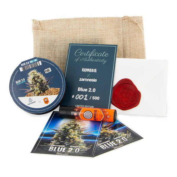 Blue Dream Feminisiert (Zamnesia)