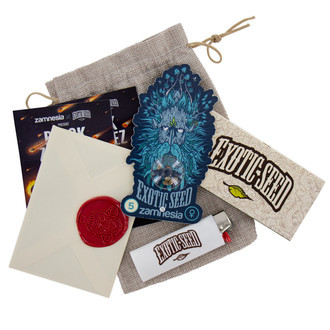 Black ZZ (Exotic Seed x Zamnesia) feminisiert Black ZZ (Exotic Seed x Zamnesia) feminisiert