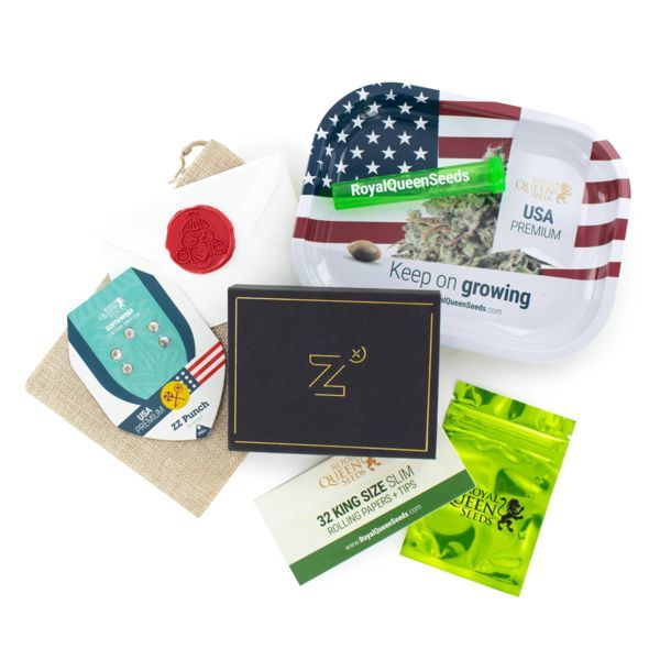 ZZ Punch (Royal Queen Seeds x Zamnesia) feminisiert