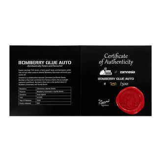 Bomberry Glue Auto (Bomb Seeds x Zamnesia) feminisiert