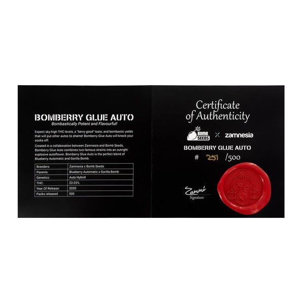 Bomberry Glue Auto (Bomb Seeds x Zamnesia) feminisiert