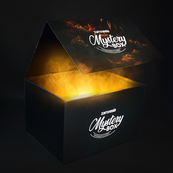 Cannabis Mystery Box - Classic (Zamnesia)