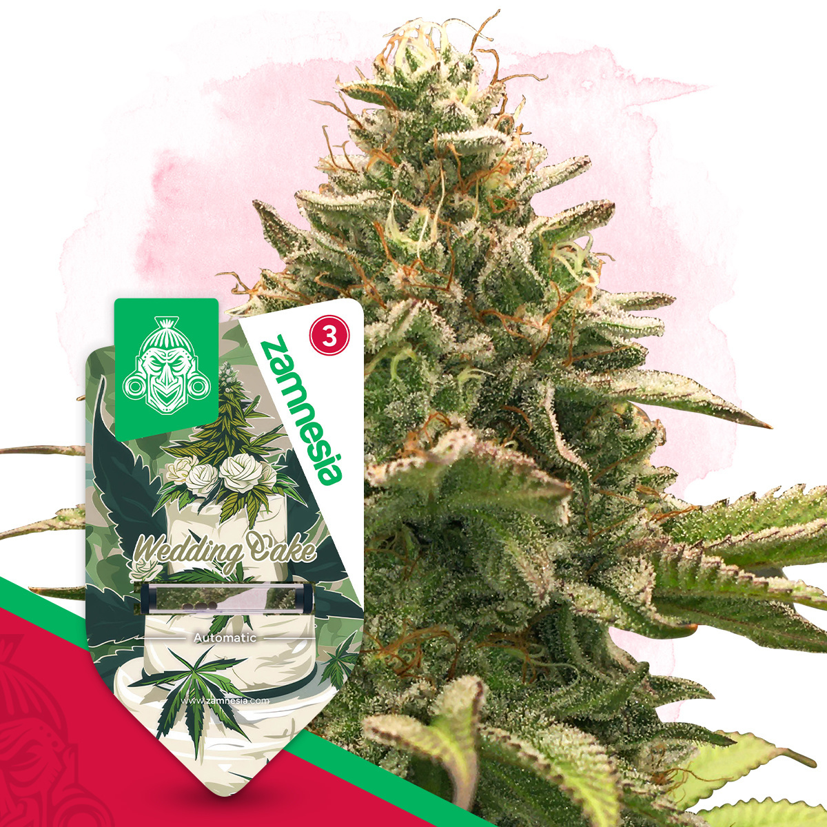 Wedding Cake Auto (Zamnesia)