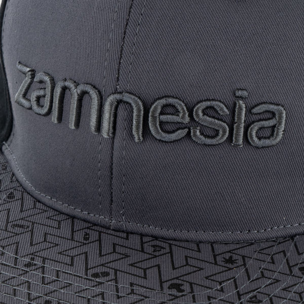 Zamnesia Snapback Cap Grau