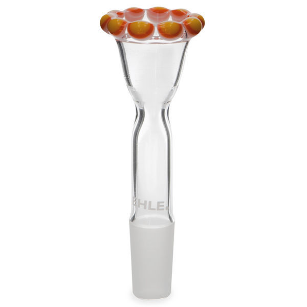 Trichter-Kronenköpfchen Sorbet (EHLE)