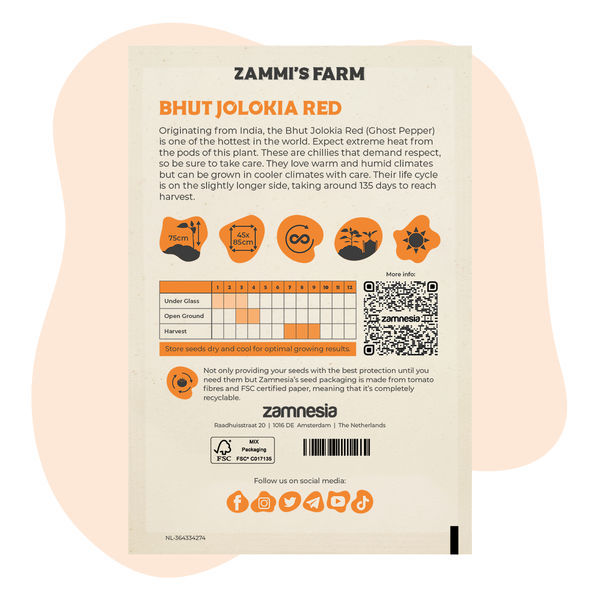 Bhut Jolokia (Ghost Pepper) Samen