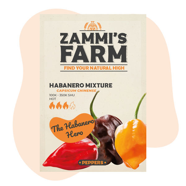 Gemischte Habanero-Samen