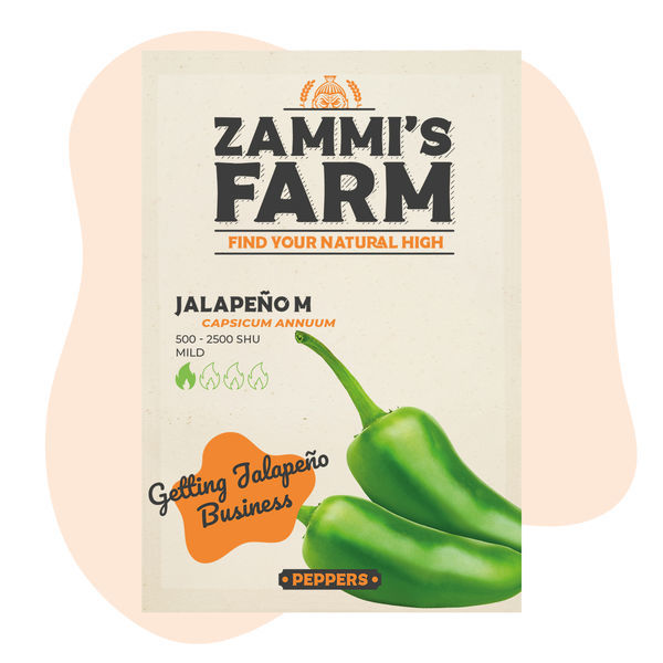 Jalapeño M Samen