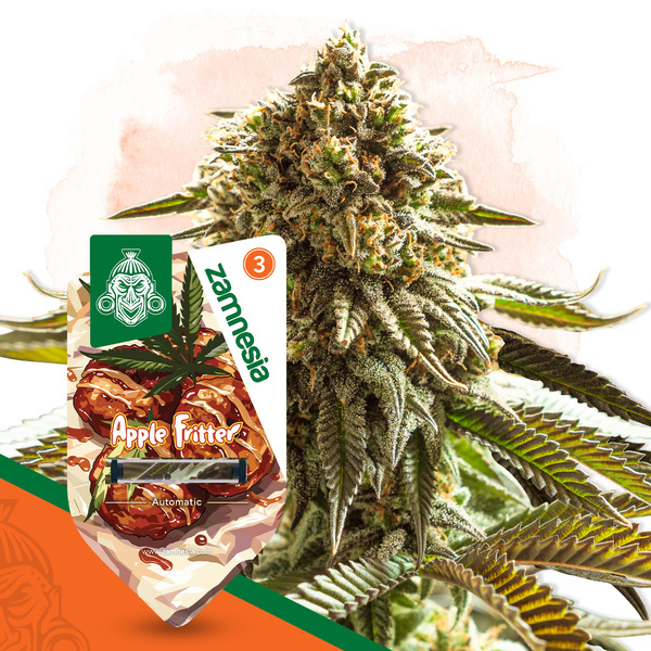Apple Fritter Automatic (Zamnesia Seeds) feminisiert