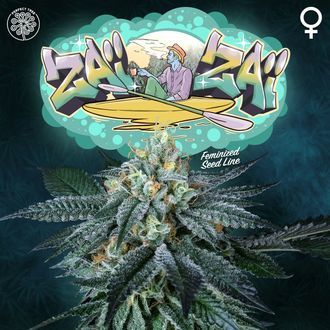 Zaï Zaï (Perfect Tree) feminisiert Zaï Zaï (Perfect Tree) feminisiert