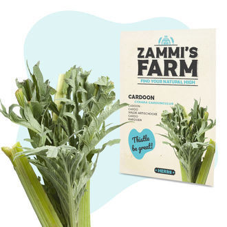 Cardy (Cynara cardunculus) Samen Cardy (Cynara cardunculus) Samen