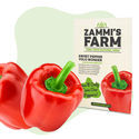 Paprika Yolo Wonder (Capsicum annuum) Samen