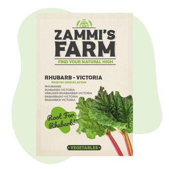 Rhabarber Victoria (Rheum undulatum) Samen