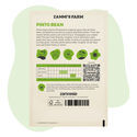 Pintobohne (Phaseolus vulgaris Pinto Group) Samen