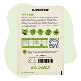 Sojabohne 'Edamame Green Shell' (Glycine max) Samen