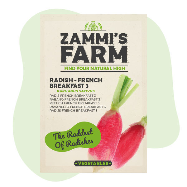 Radieschen 'French Breakfast 3' (Raphanus sativus) Samen
