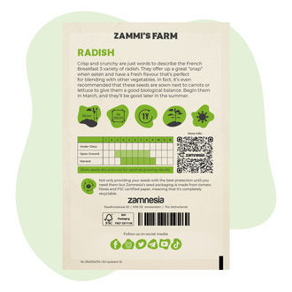 Radieschen 'French Breakfast 3' (Raphanus sativus) Samen