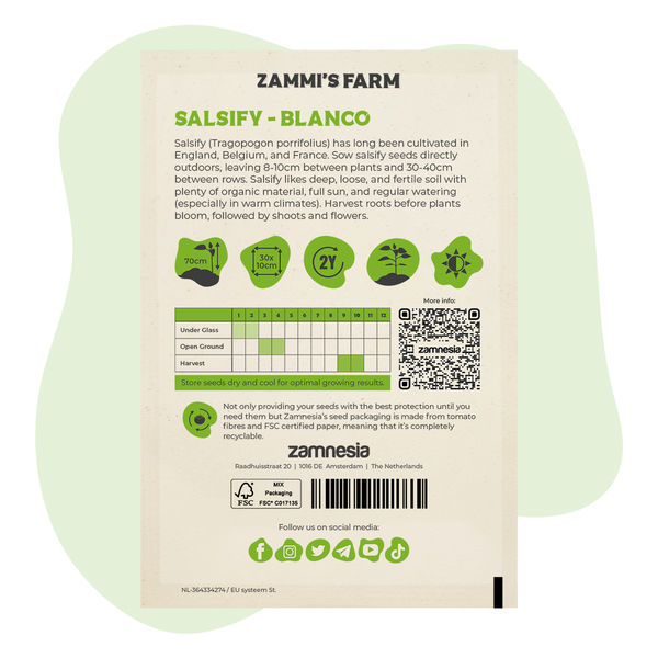 Haferwurzel  'Blanco' (Tragopogon porrifolius) Samen