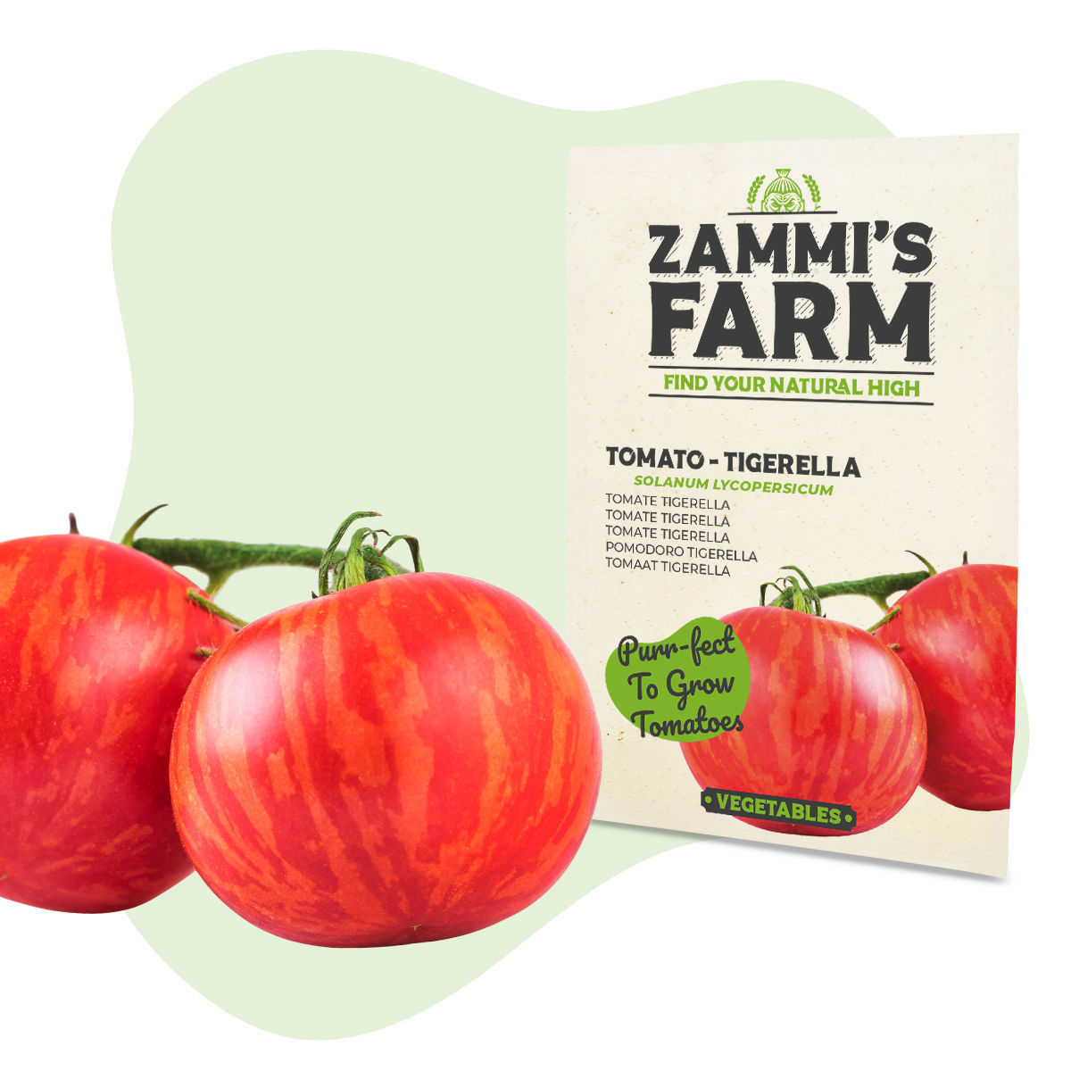 Tiger-Tomate 'Tigerella' – 10 Samen, Geflammt Rot-gelb, Robust & Ertragreich, Samenfest, Für Garten & Topf, Süss-fruchtig Tiger-Tomate 'Tigerella' – 10 Samen, Geflammt Rot-gelb, Robust & Ertragreich, Samenfest, Für Garten & Topf, Süss-fruchtig