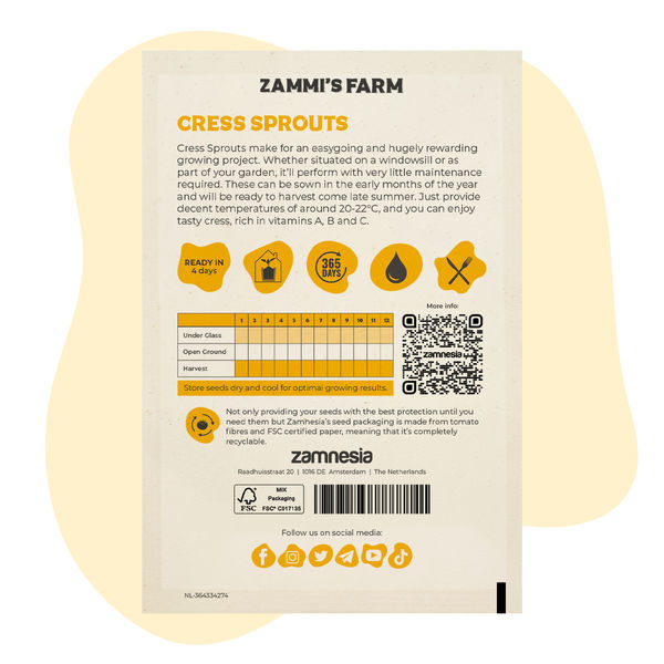 Gartenkresse (Lepidium sativum) Samen