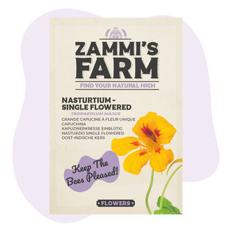 Große Kapuzinerkresse 'Einzelblüte' (Tropaeolum majus) Samen