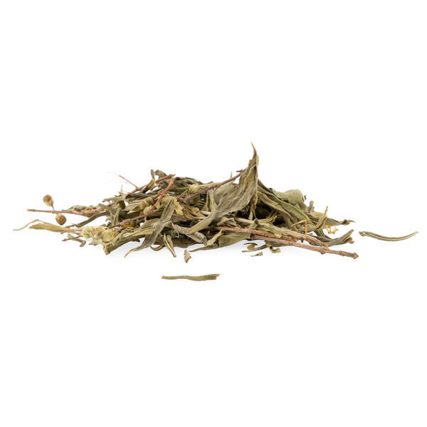 Sinicuichi (Heimia salicifolia) 20g