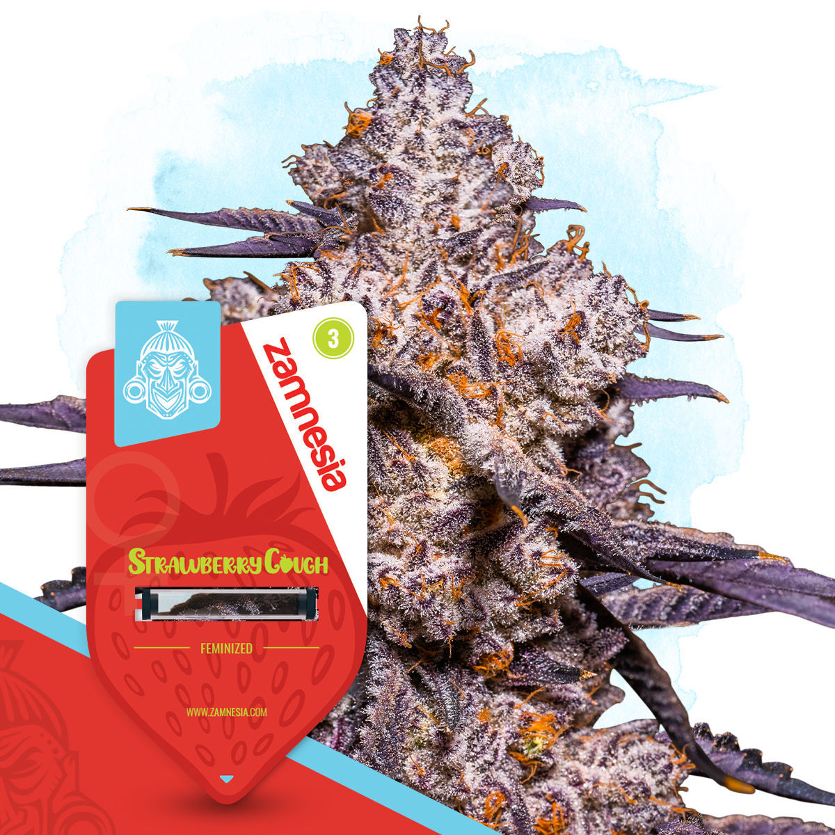 Strawberry Cough Auto (Zamnesia)