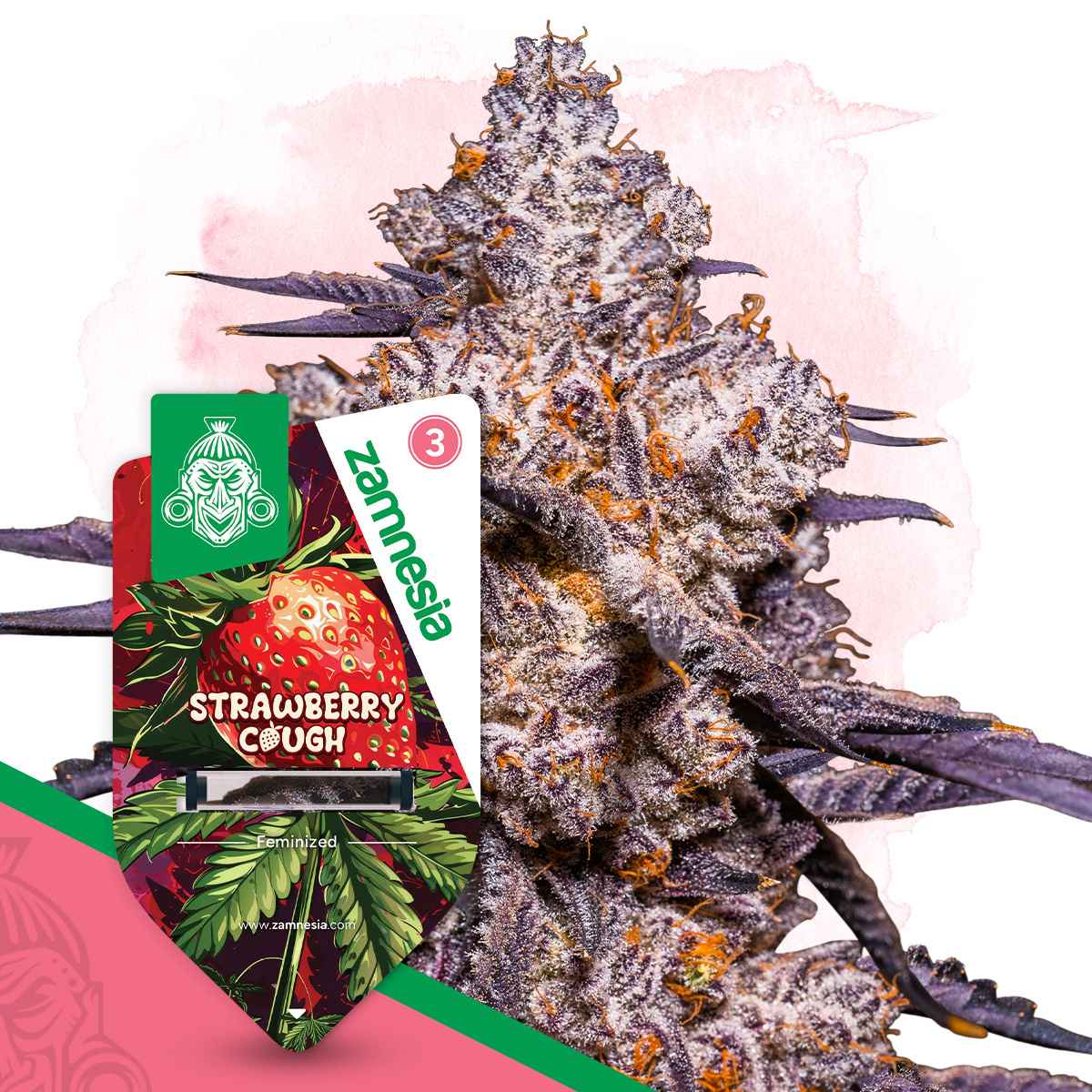 Strawberry Cough Auto (Zamnesia)