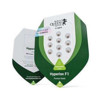 Hyperion F1 Automatic (Royal Queen Seeds) feminisiert