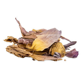 Indische Lotosblume (20g) Indische Lotosblume (20g)