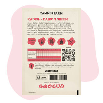 Rettich Daikon Green (Raphanus sativus) Samen