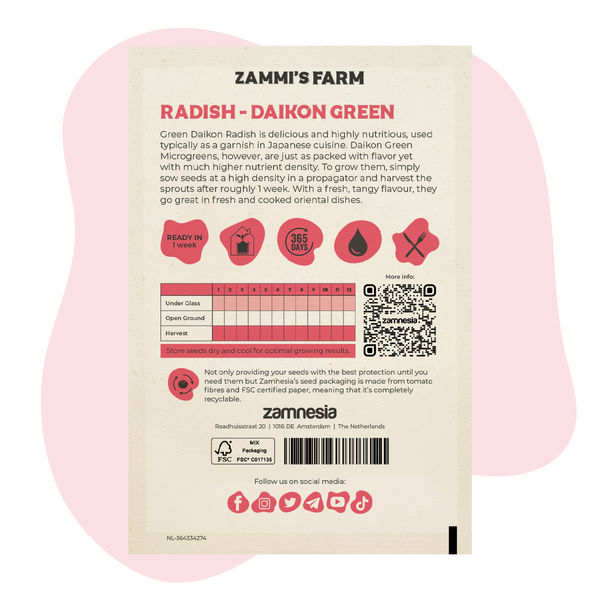 Rettich Daikon Green (Raphanus sativus) Samen