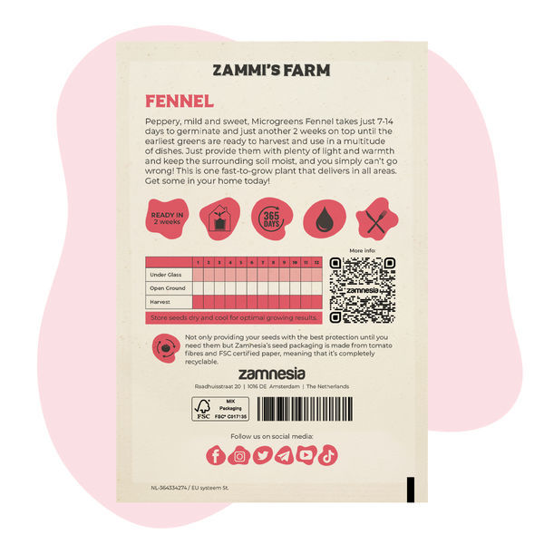 Fenchel (Foeniculum vulgare) Samen