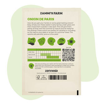 Silberzwiebel Onion de Paris (Allium cepa) Samen