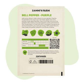 Gemüsepaprika lila (Capsicum annuum) Samen