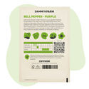 Gemüsepaprika lila (Capsicum annuum) Samen
