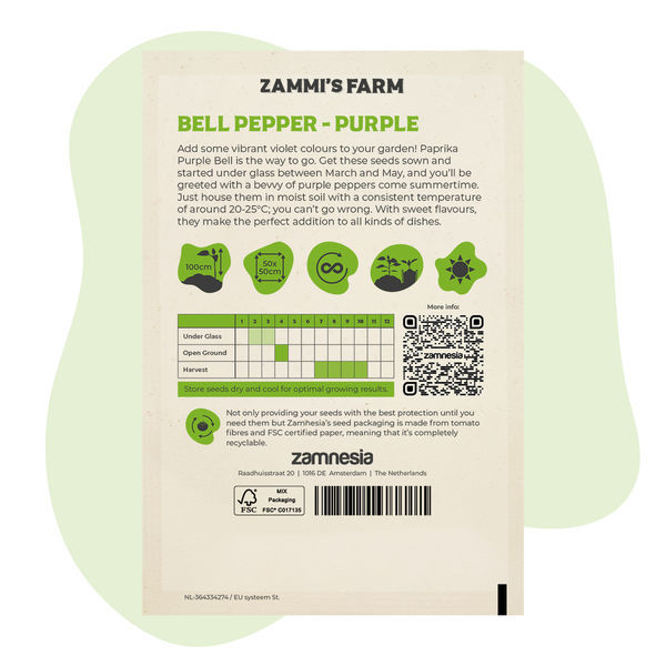 Gemüsepaprika lila (Capsicum annuum) Samen