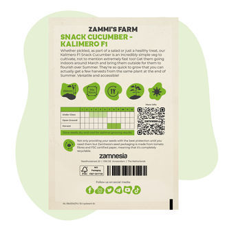 Kalimero F1 Snackgurke (Cucumber sativus) Samen