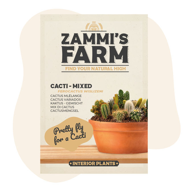 Kaktus  gemischt (Ferocactus wislizeni) Samen