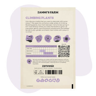 Kletterpflanzen Samenmischung