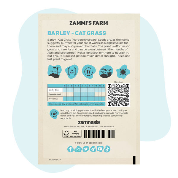 Gerste - Katzengras (Hordeum vulgare) Samen