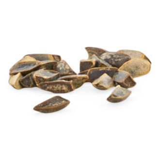 Wild Dagga / Afrikanisches Löwenohr (Leonotis leonurus) Samen Wild Dagga / Afrikanisches Löwenohr (Leonotis leonurus) Samen