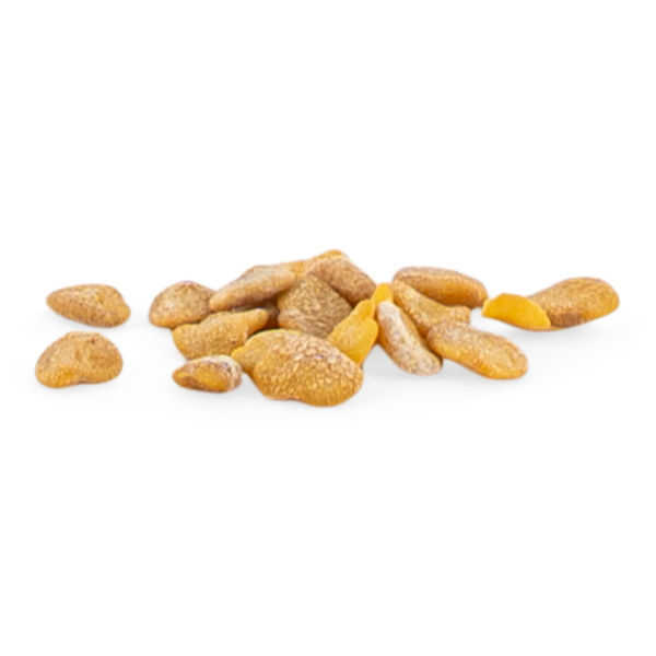 Ashwagandha (Withania somnifera) Samen