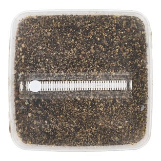 Sterilisiertes Substrat-Set