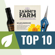 Top 10 Pflanzensamen